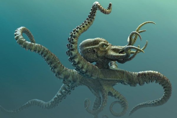 Kraken актуальные зеркала krakentor site