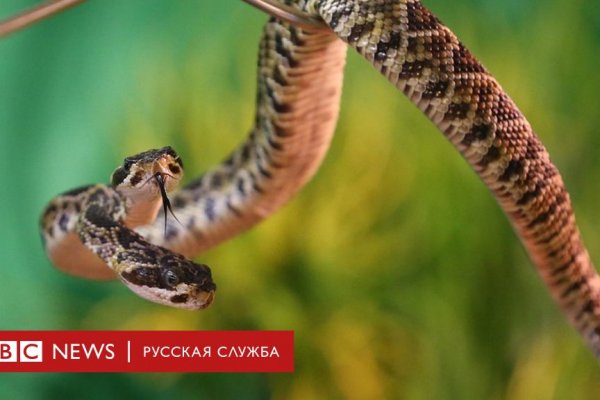 Вход на кракен