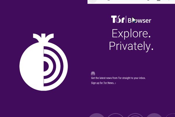 Кракен торговая kr2web in