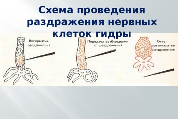 Вывести деньги с кракена