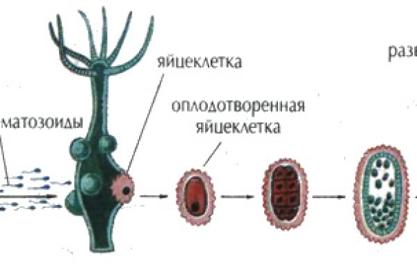 Ссылка кракен kr2web in