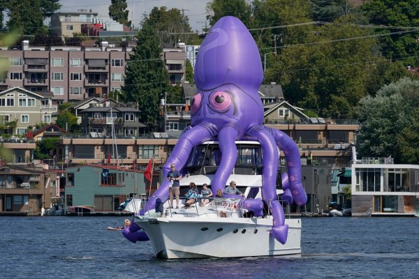 Kraken 14 at сайт
