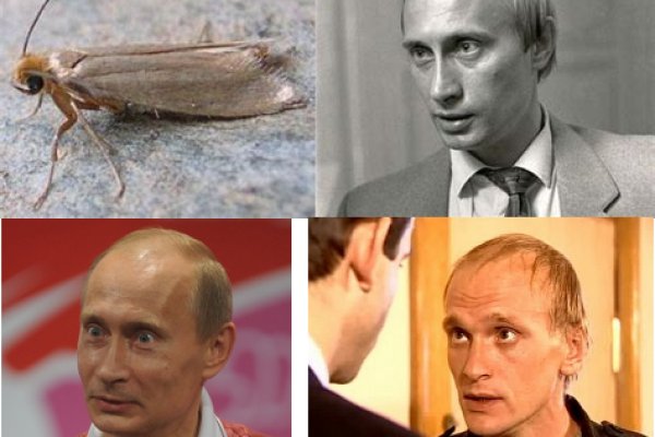 Не заходит на кракен