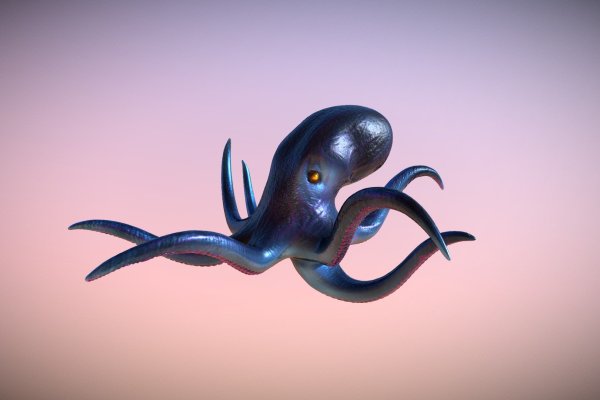 Kraken forum