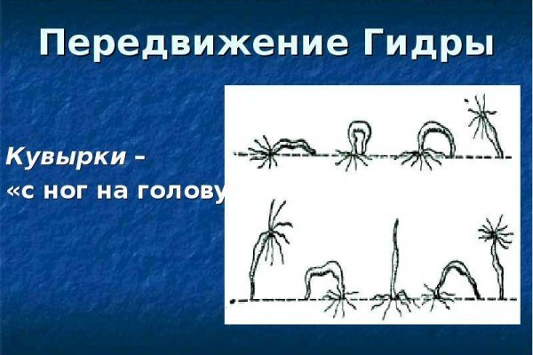 Оригинальная ссылка на магазин кракен