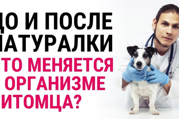 Рабочее зеркало кракен store