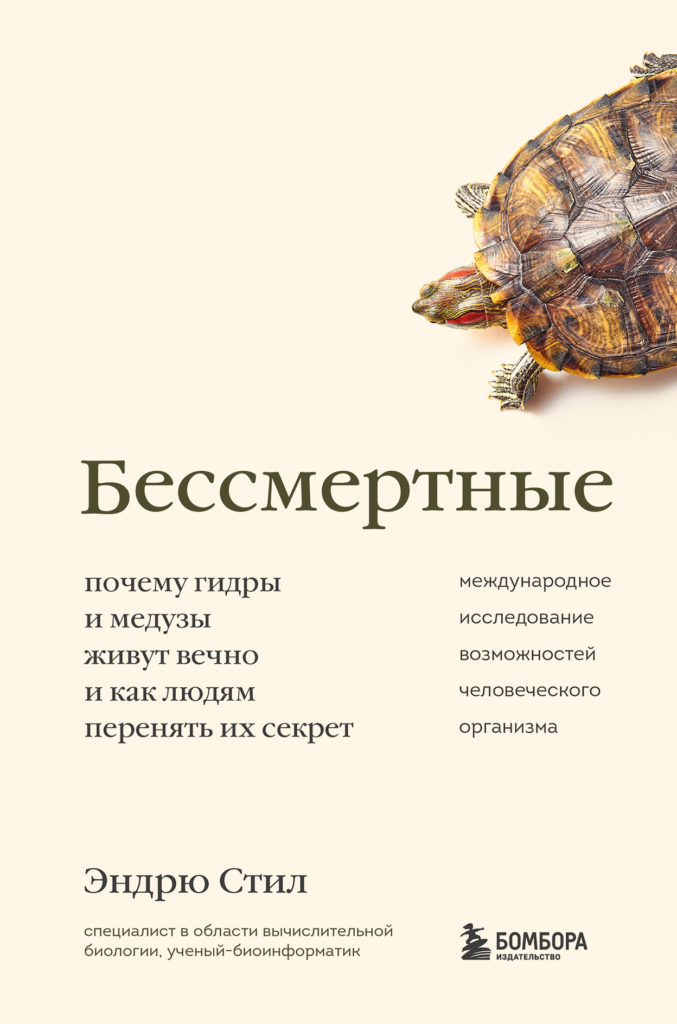 Кракен даркнет ссылка зеркало